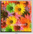 /album/photo-gallery-canvas-uri/decoratiuni-de-perete-canvas-lc-0730-jpg/